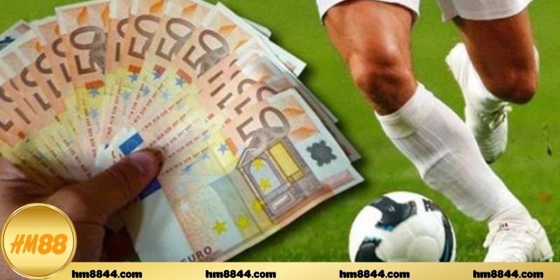 Biểu tượng bền vững mang lại cho mỗi hội viên tại nền tảng