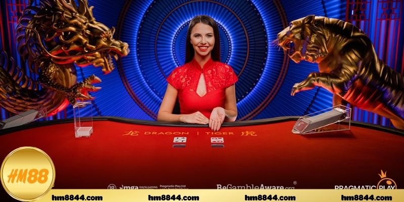 Cấu trúc vận hành của Dragon Tiger Online