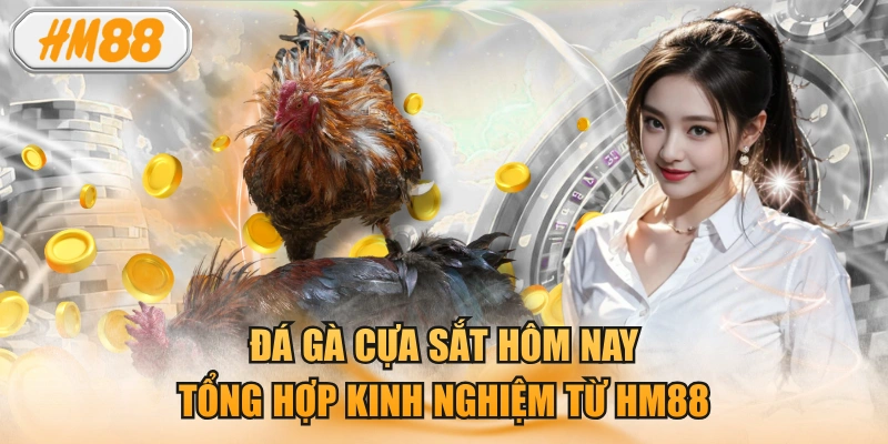 Đá gà cựa sắt hôm nay: Tổng hợp kinh nghiệm từ HM88