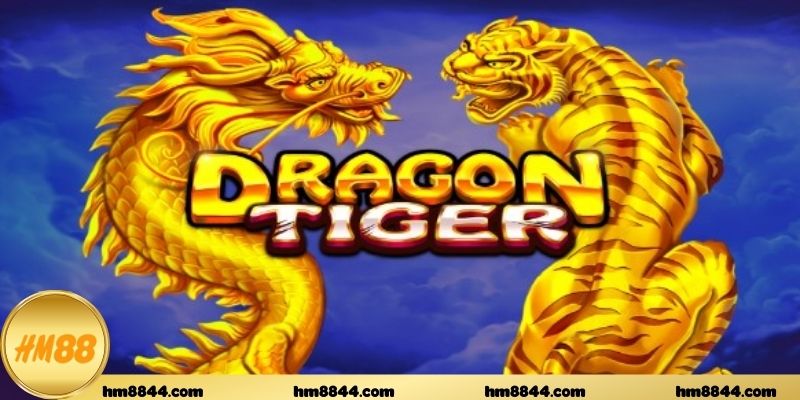Dragon tiger online hình thành sức hút từ nhịp bàn nhanh gọn