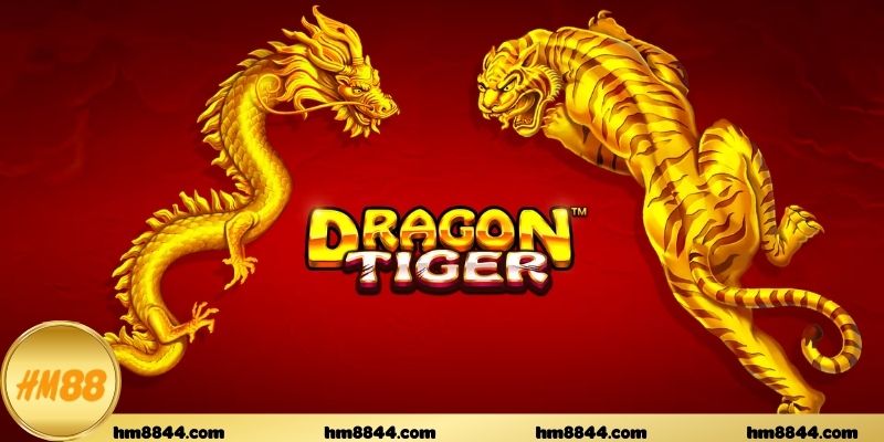 Tiêu chí đánh giá nền tảng Dragon Tiger Online